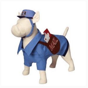 Mailman delivery dog cat pet costume outfit size medium nwt